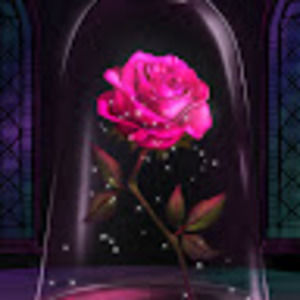 Meet your Posher, Sandy